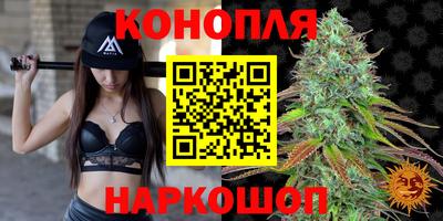Альфа ПВП Ачхой-Мартан