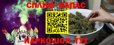 Альфа ПВП Ачхой-Мартан
