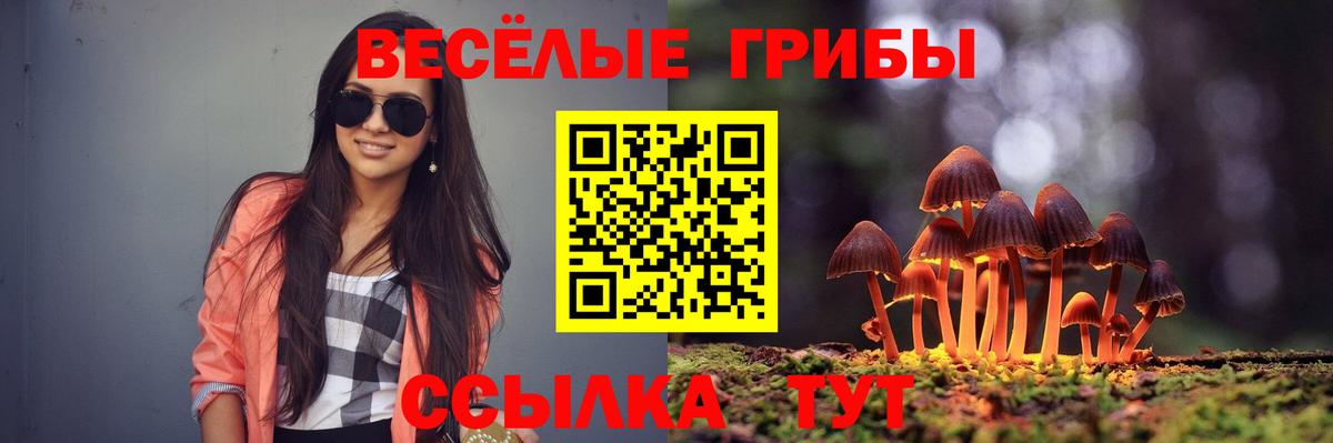 Псилоцибиновые грибы мицелий  Вход с VPN  Вичуга 